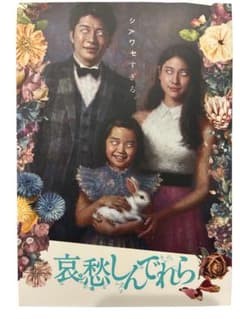 哀愁しんでれら　映画　Blu-ray Disc ポストカード付きのサムネイル
