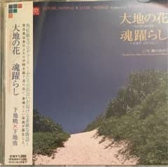 【プレミア盤】角松敏生プロデュース 下地暁x下地勇 CDのサムネイル