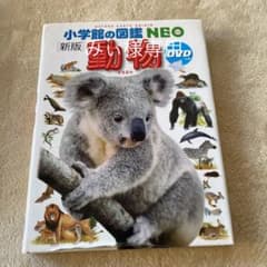 動物のサムネイル