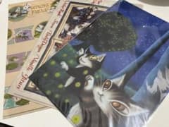 WACHI FIELD 猫のダヤンクリアファイル 4枚セットのサムネイル