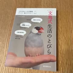 美品✨文鳥式生活のとびら : 入手方法から生活環境、グッズ、遊ばせ方まで。のサムネイル
