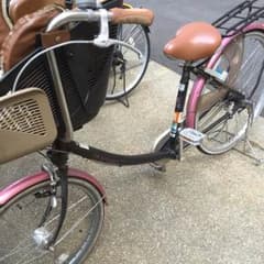 フラッカーズ  限定色  子供乗せ自転車のサムネイル