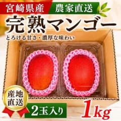 農家直送】宮崎完熟マンゴー 約1kg - メルカリ