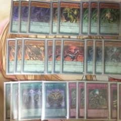花蓮様専用 遊戯王 アモルファージデッキのサムネイル