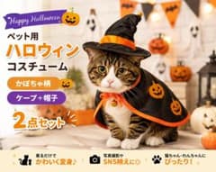【新品】ペット ハロウィン かぼちゃ ケープ 帽子 猫 犬 2点セットのサムネイル