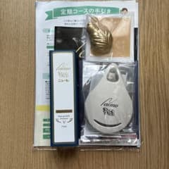 ニューモ 薬用育毛剤 75mL 育毛剤セットのサムネイル
