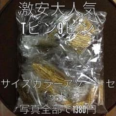 Tピン 9ピン カラー サイズ アソート 約800g  pkb4のサムネイル