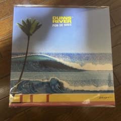 DUNNS  どんずりばー PON DE WAVE レコード 永井博 DUNNS RIVER どんずりばー PON DE WAVE レコード 永井博 - メルカリ