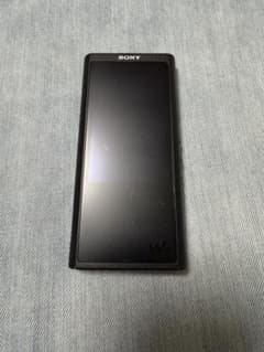 SONY NW ZX300