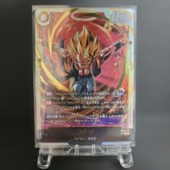 FB09 DUAI EVOLUTION 고지타 SCR