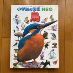 小学館の図鑑NEO「鳥」のサムネイル