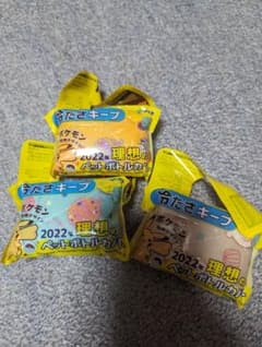 伊藤園　ポケモンペットボトルカバー2022のサムネイル