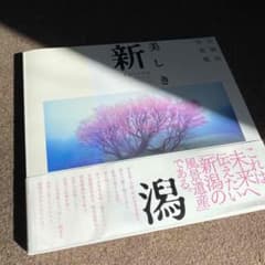 美しき新潟 = Beautiful Niigata : 未来への記録 : 天野…のサムネイル