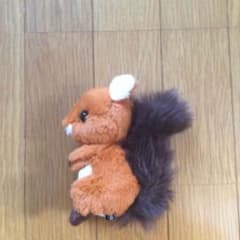 りす ぬいぐるみのサムネイル