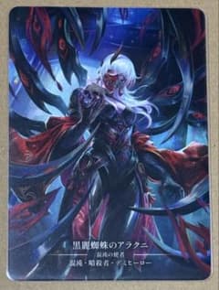 【fab】Flesh and Blood 黒魔蜘蛛のアラクニ ヒーローカードのサムネイル