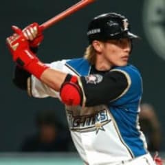 陽岱鋼選手 バッティング手袋のサムネイル
