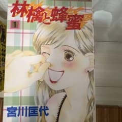 林檎と蜂蜜 1-19巻セット　宮川匡代 コミックのサムネイル