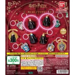 ハリーポッター めじるしアクセサリーのサムネイル
