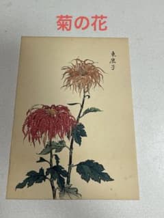 菊の絵 版画？ 品種名 東鹿子 - メルカリ