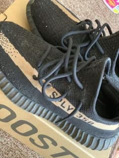 yeezy boost 350のサムネイル