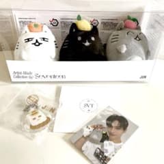 SEVENTEEN グッズ まとめ売り ジュン JUN 10個 まとめ売り】SEVENTEEN PetiTEEN JUN ジュン 준