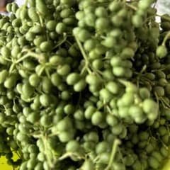 秋田産実山椒300グラムのサムネイル