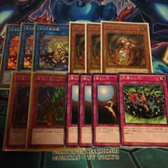 遊戯王 蟲惑魔デッキパーツのサムネイル