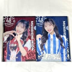 Wendy's ウェンディーズ AKB48 クリアファイル 2種 向井地美音のサムネイル
