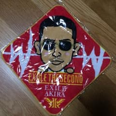 EXILE THE SECOND  WILD WILD WARRIORのサムネイル