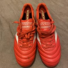 モレリア2 25.5 シューズキーパー付きのサムネイル