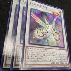 m21748924752_1.jpg?1732659244