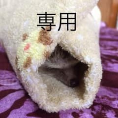 ディン様専用 ワンピース 一番くじ E賞 ウソップ記念フィギュアのサムネイル