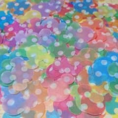 ミッキークラフトパンチドット 300枚のサムネイル