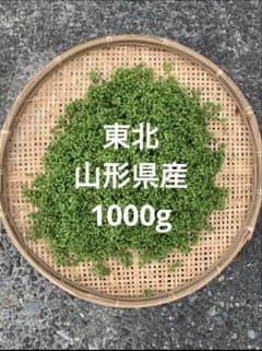 東北　山形県産　実山椒　1000g 柔らかい　山椒のサムネイル