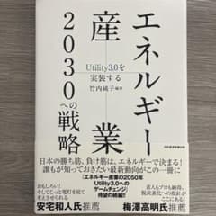 エネルギー産業2030の戦略のサムネイル