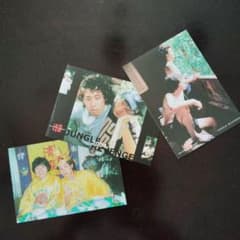 수요일 어떨까요 엽서 3장 세트 JUNGLE REVENGE