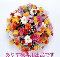 ありす様 専用です！のサムネイル