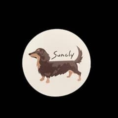 Sunclyステッカー 3枚セットのサムネイル