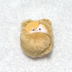 [즉구 OK◎] 가정교사 히트맨 REBORN 리본 타피누이 디노