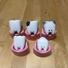 こんにち歯 セミコンプセット ガチャガチャ エール 歯 歯茎 歯医者 セットのサムネイル