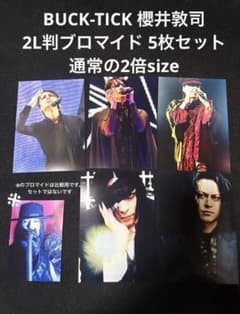 BUCK-TICK 櫻井敦司 2L判ブロマイド 5枚セット ⑥ - メルカリ