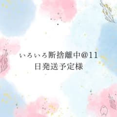 いろいろ断捨離中@11日発送予定 様専用ページ - メルカリ