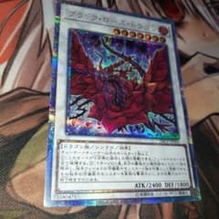 ブラックローズ　20th　美品のサムネイル