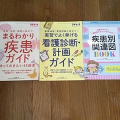 プチナース 付録のサムネイル
