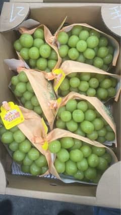 山形、長野県産 シャインマスカット 果物 1ケース5-8串入、のサムネイル