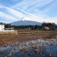 こすこす様専用のサムネイル