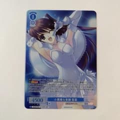 ヴァイスシュヴァルツロゼ AQUAPLUS 小悪魔な素顔 雪菜 OFR - メルカリ