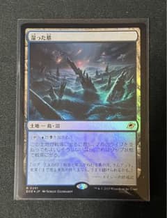 MTG 湿った墓 foil - メルカリ