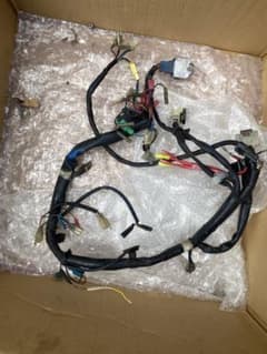 m21785667995_1.jpg?1739369367