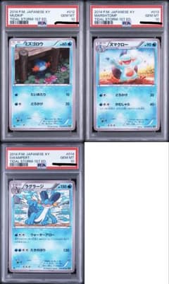 【超希少】PSA10 3連番 ミズゴロウ・ヌマクロー・ラグラージ 1st